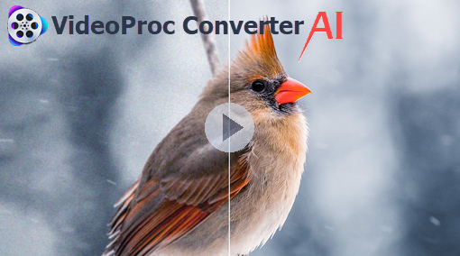 VideoProc Converter AI YouTube Official Channel
